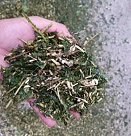 大型碎木機效果1