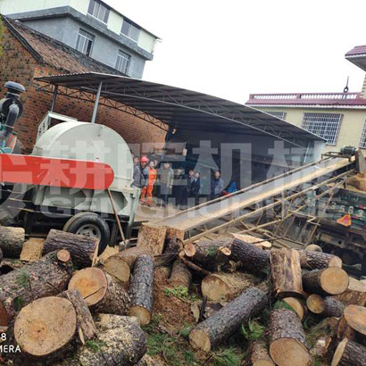 40公分樹枝一次粉成沫