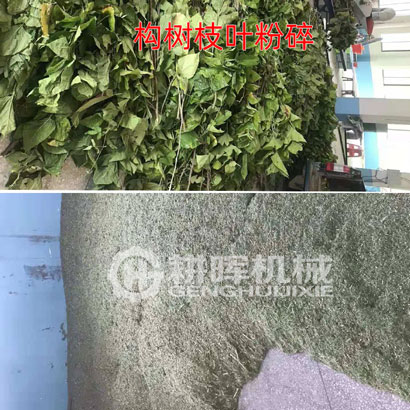 構樹枝葉粉碎機