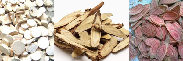 小型中藥切片機大型藥材切片機效果